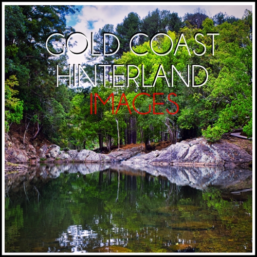 Gold Coast Hinterland Images Simon Wilson Photography