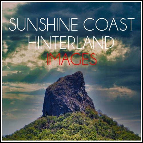 Sunshine Coast Hinterland Images Simon Wilson Photography