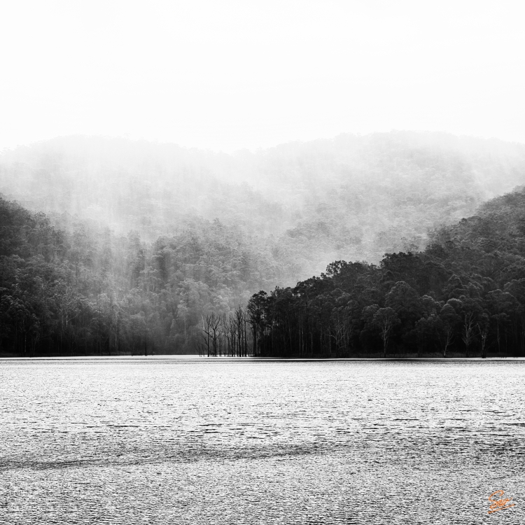 Advancetown Lake in Black and White looking West Simon Wilson Photography