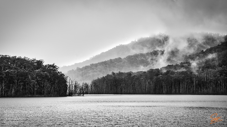 Advancetown Lake in Black and White Simon Wilson Photography
