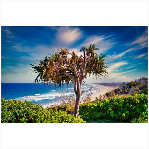 Point Cartwright Sunshine Coast Simon Wilson Photography